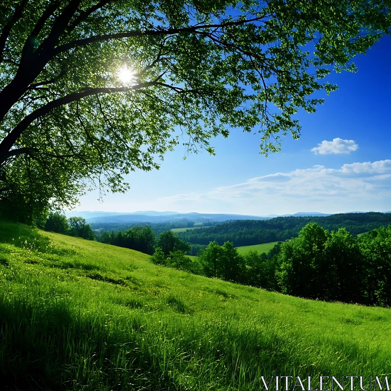 Lush Meadow under Blue Sky AI Image