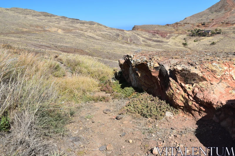 PHOTO Coastal Hills of Madeira