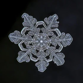 Detailed Snow Crystal Image