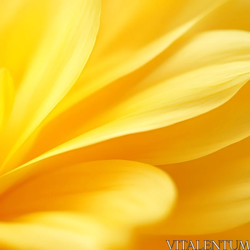 Macro Yellow Flower Petals AI Image