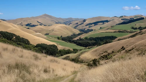 Scenic Hills Landscape