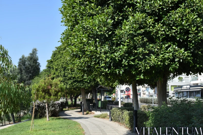 PHOTO City Park Pathway with Green Trees