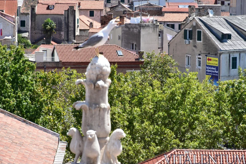 Seagull on Stone Figure Free Stock Photo