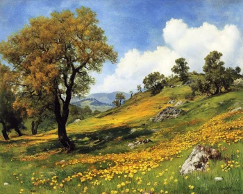 Yellow Flowers in a Green Field