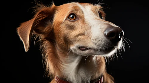 Captivating Canine Portrait in Soft Lighting