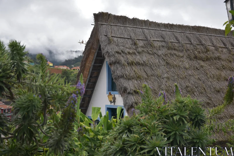 PHOTO Madeira Countryside Homestead