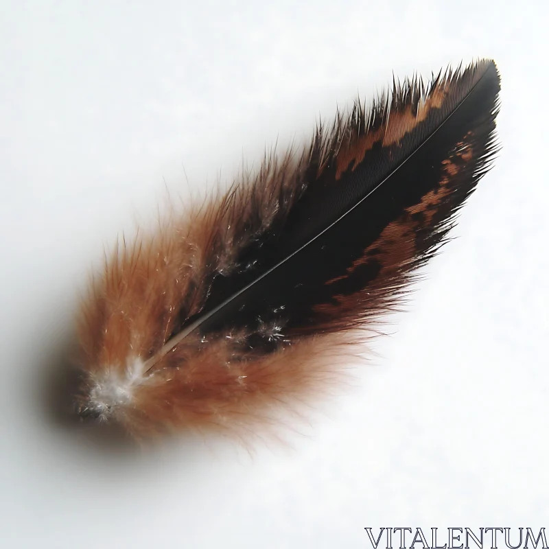 AI ART Beautiful Bird Feather Close-Up