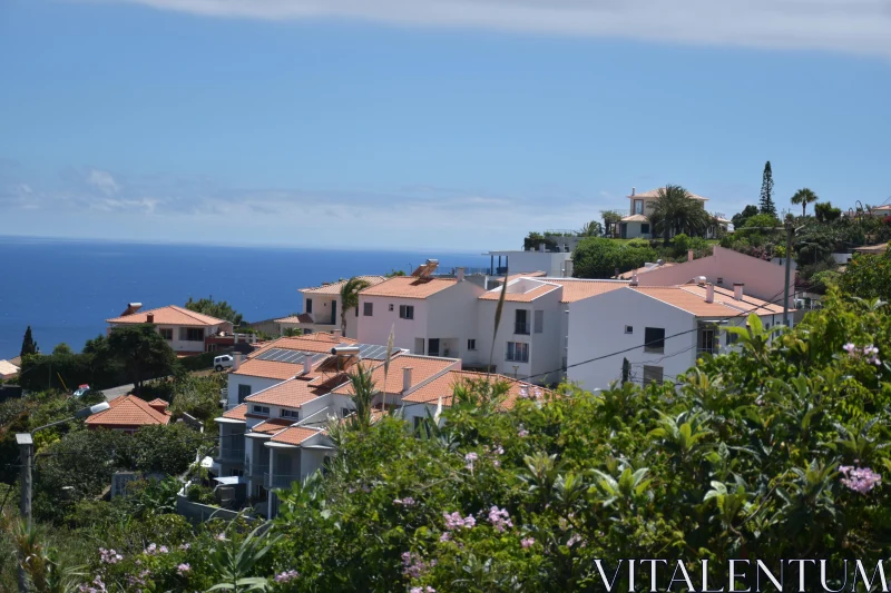 Madeira Coastal Landscape Free Stock Photo