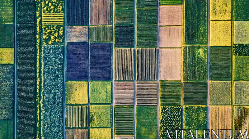 Agricultural Fields from Above AI Image