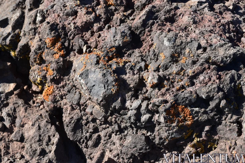 PHOTO Volcanic Rock Landscape