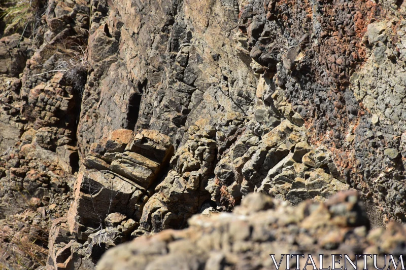 Detailed Rock Formation Study Free Stock Photo