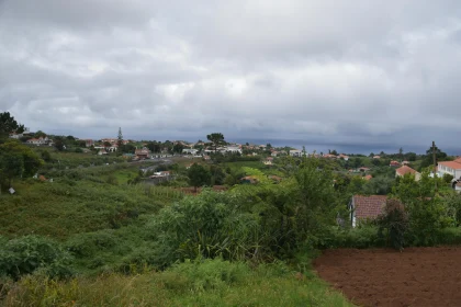 Peaceful Rural Scene in Madeira