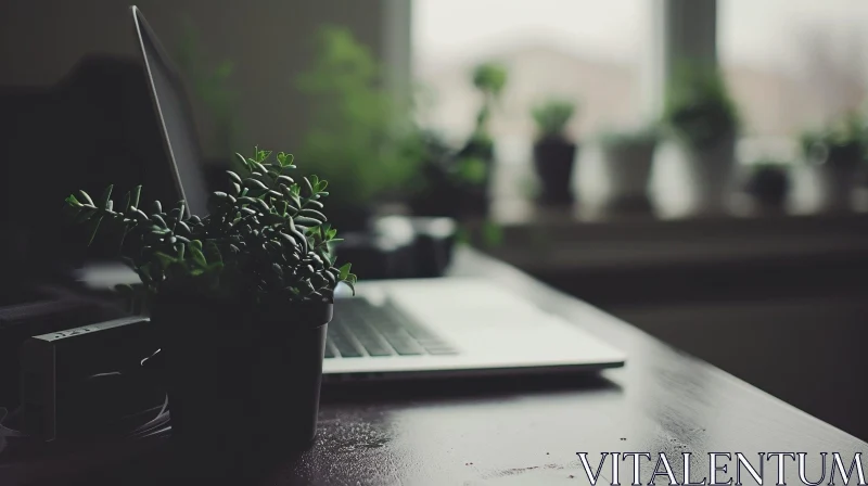Stunning Desk Composition with Laptop and Succulent Plant AI Image