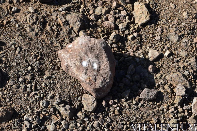 Brown Rock on Gravelly Surface Free Stock Photo