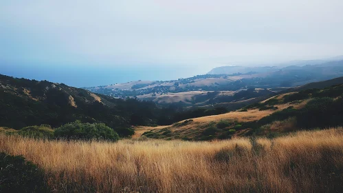 Rolling Hills and Ocean View