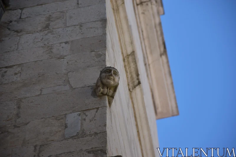 PHOTO Ornate Gargoyle Silhouette