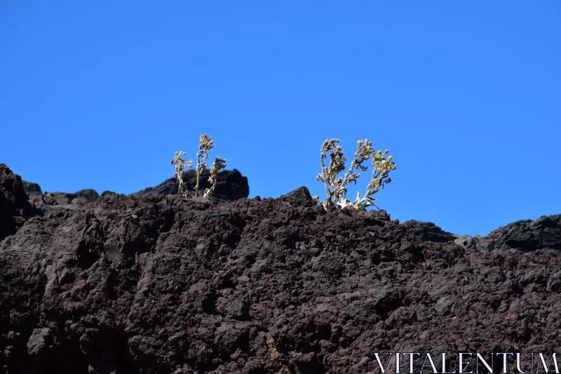 Stark Beauty of Volcanic Terrain Free Stock Photo