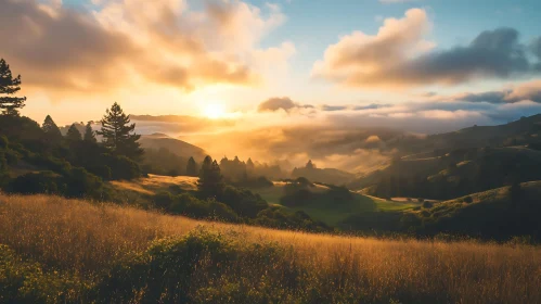 Tranquil Meadow Sunset in Hilly Landscape