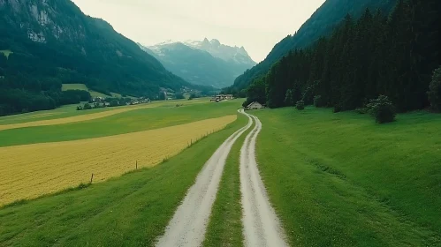 Scenic Route Through Alpine Meadows