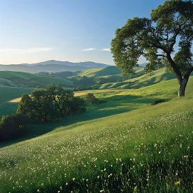 Picturesque Meadow with Green Hills and Tree