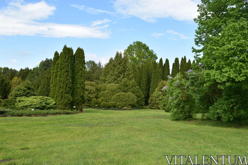 Green Oasis Landscape Free Stock Photo