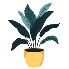 Teal Leaf Plant in Yellow Pot