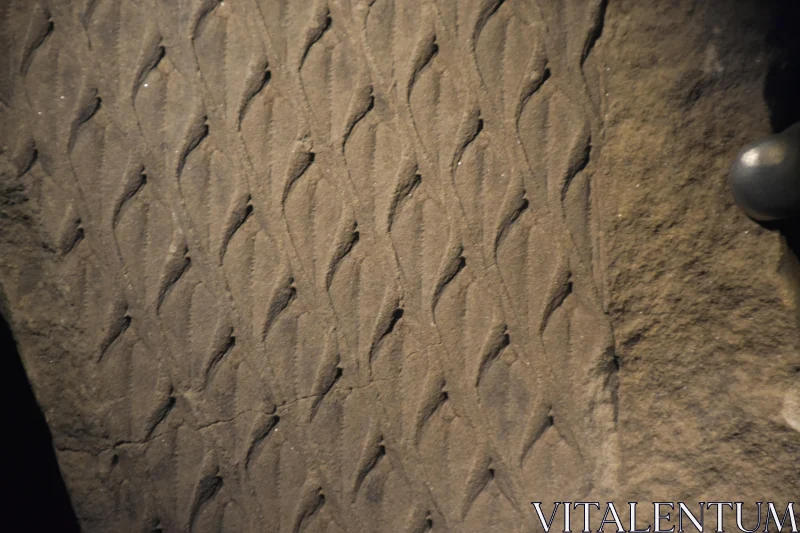 PHOTO Abstract Stone Patterns