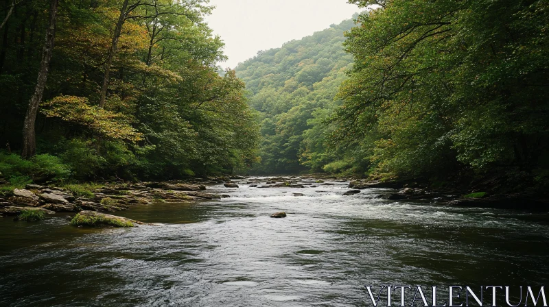 AI ART Tranquil River in Dense Forest