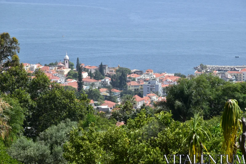 PHOTO Charming Madeira Coastal Village View