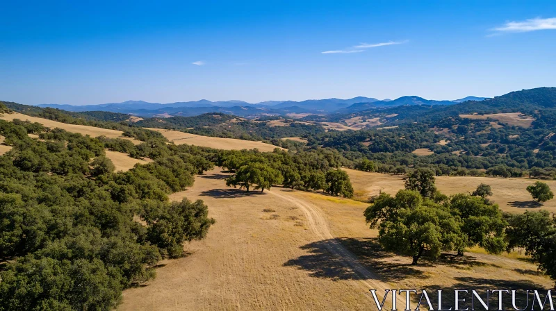 AI ART Rolling Hills and Open Field View