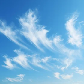 White Clouds on Blue Sky