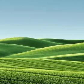 Rolling Green Landscape