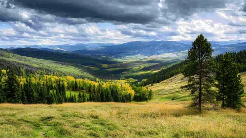 Scenic Mountain Vista with Autumnal Forest
