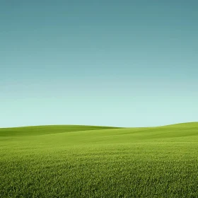 Rolling Green Hills Landscape