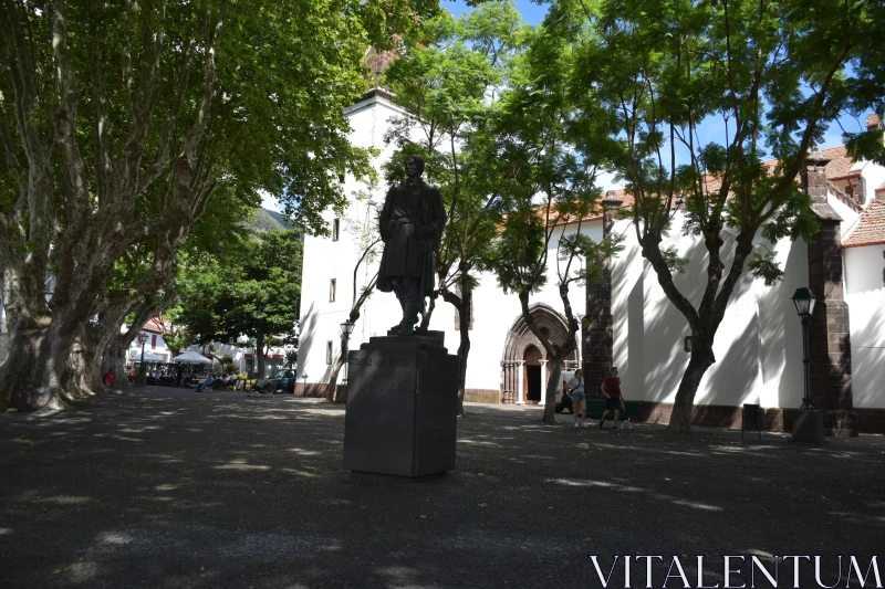 Statue and Shadows in Madeira Free Stock Photo