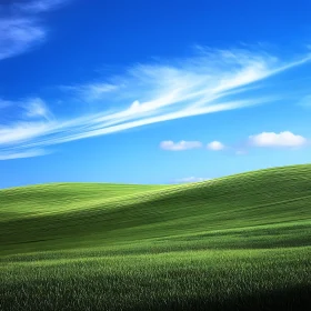 Serene Green Field Under Blue Sky