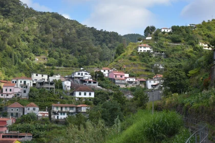 Scenic Madeira Hillside