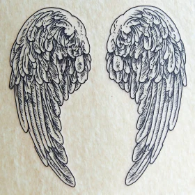 Detailed Feather Wings Drawing