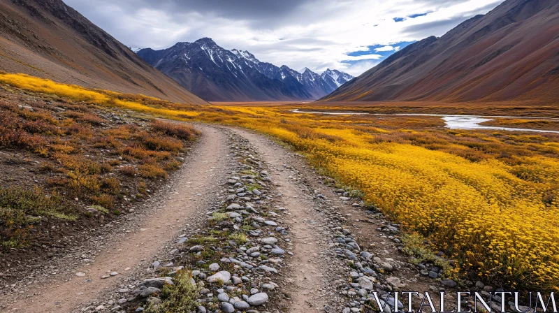 Mountain Valley with Winding Trail and Yellow Wildflowers