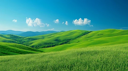 Rolling Green Hills Landscape
