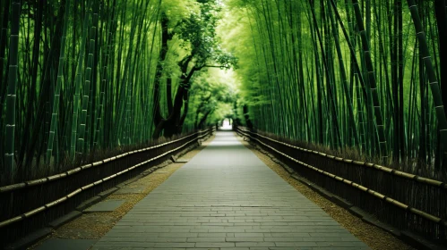 Tranquil Bamboo Forest Pathway - Monochromatic Harmony