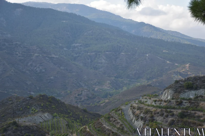 PHOTO Cyprus Terraced Mountain Landscape