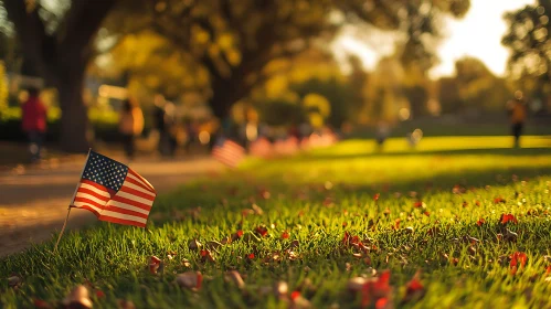 Patriotic Tribute in Golden Sunlight