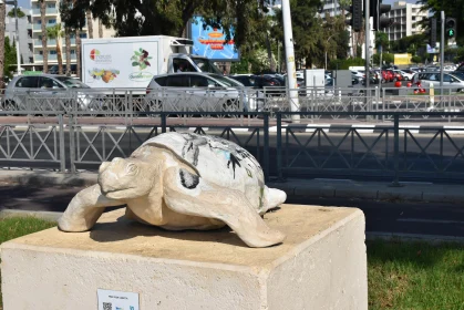 Street Art Turtle Installation