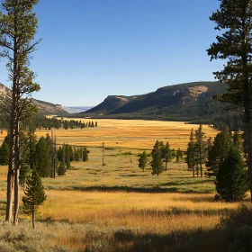 Scenic Field View with Mountains