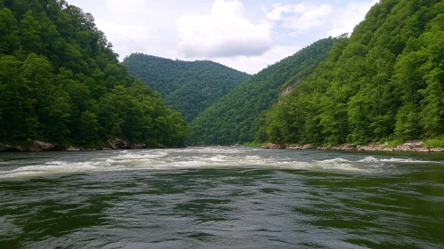 Tranquil River Amidst Green Forested Hills