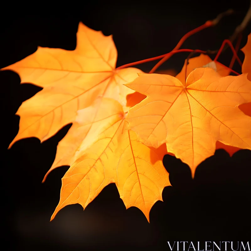 Detailed Autumn Foliage Image AI Image