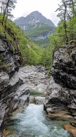 Mountainous River Landscape with Lush Greenery