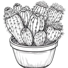 Cactus Sketch Art