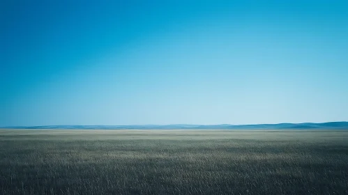 Open Field Landscape with Blue Sky